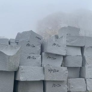 信阳芝麻白花岗石