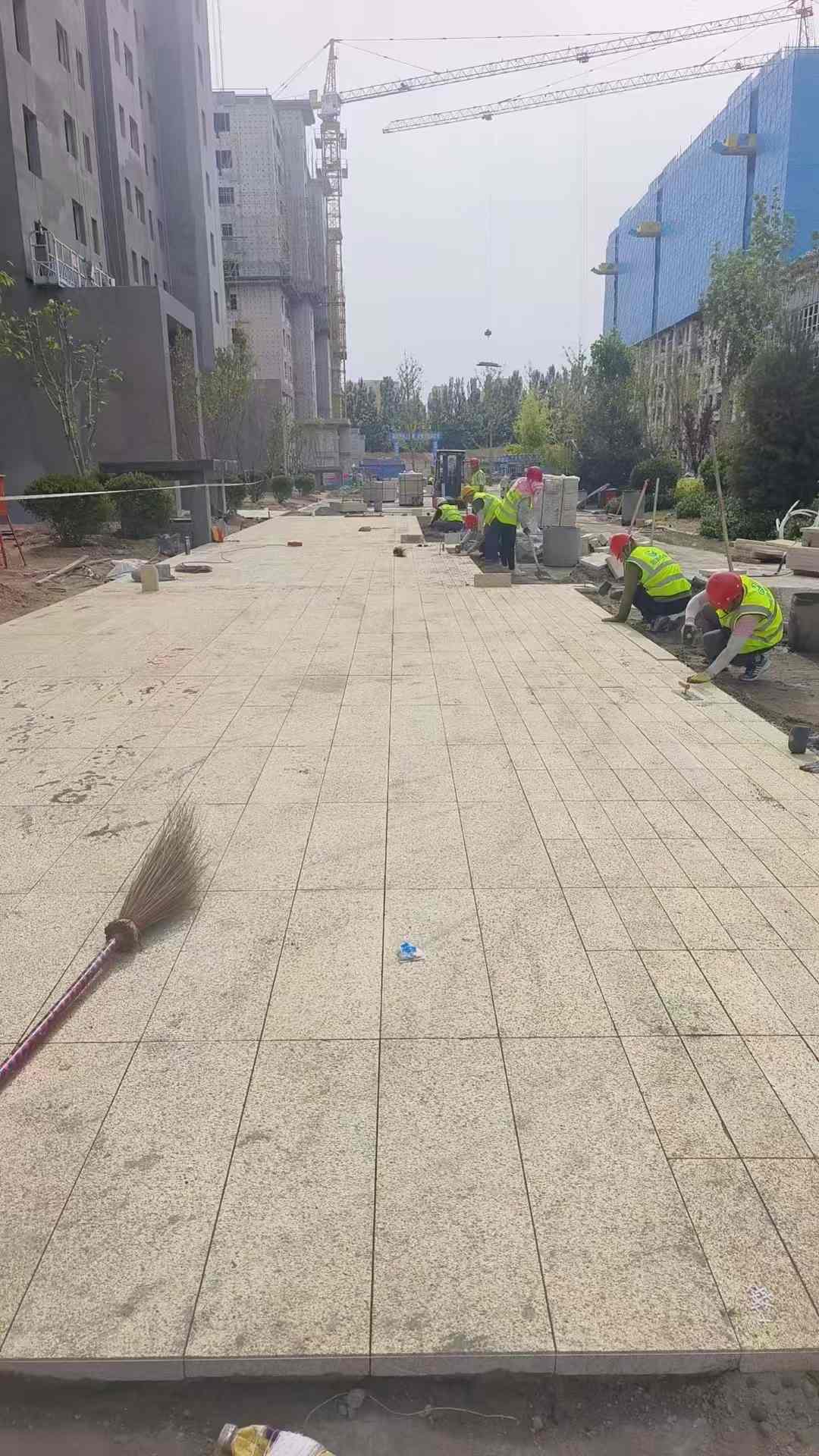 信阳黄金麻荔枝面地铺案例