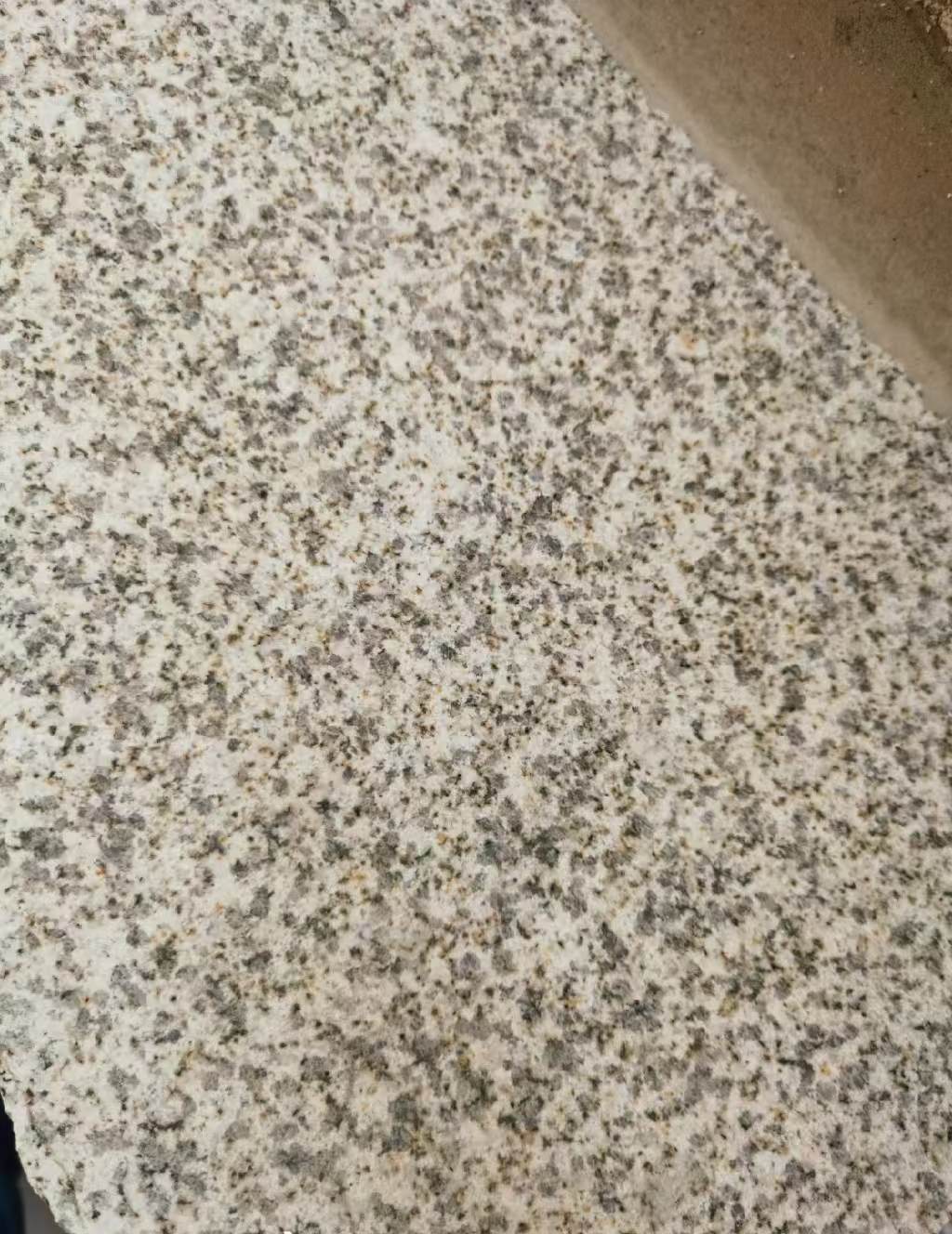 信阳 黄金麻中黄光面