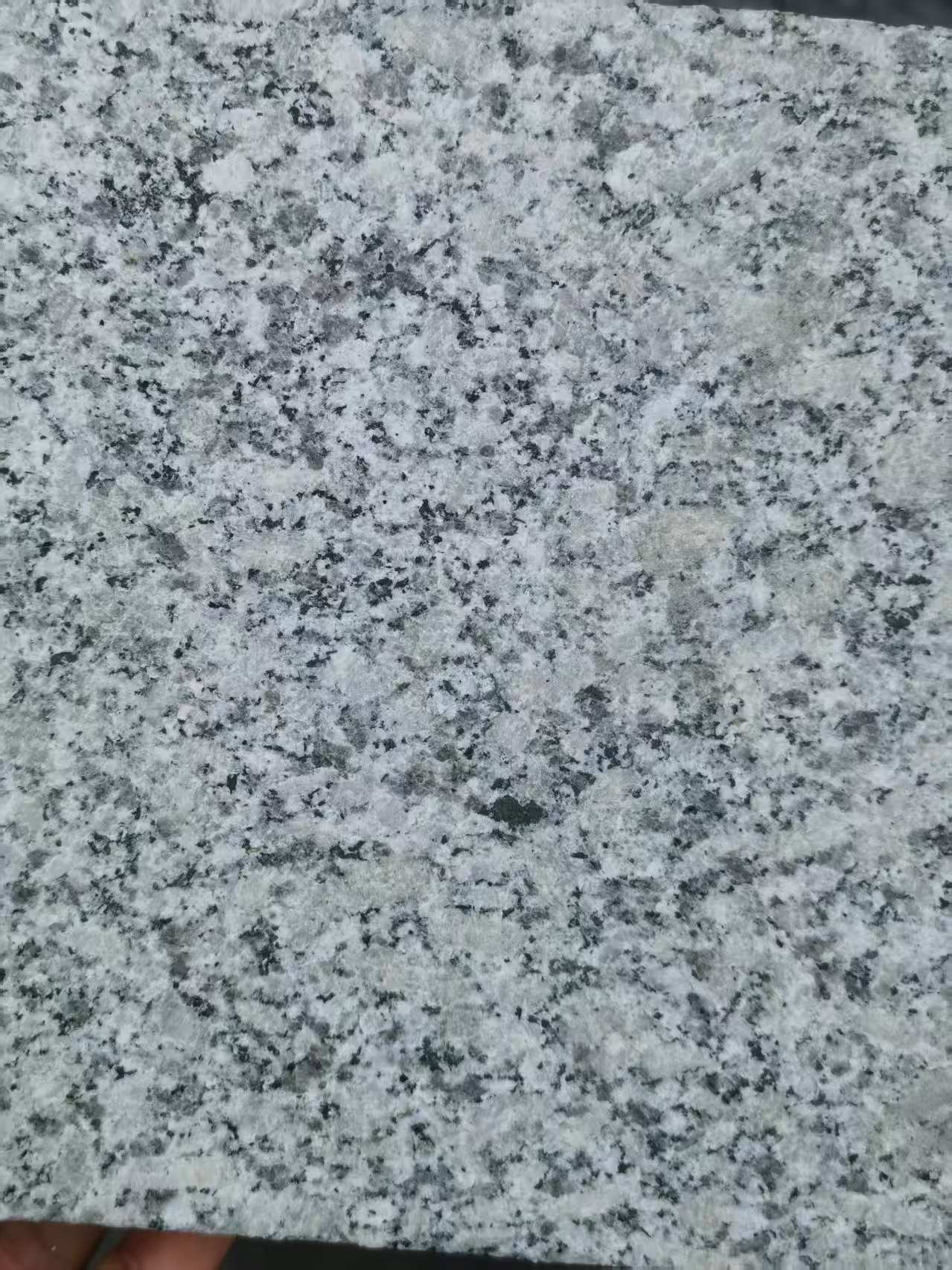 信阳 芙蓉白火烧面